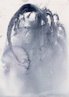 http://www.actionaqua.com/files/gimgs/th-120_Scan 11_v2.jpg